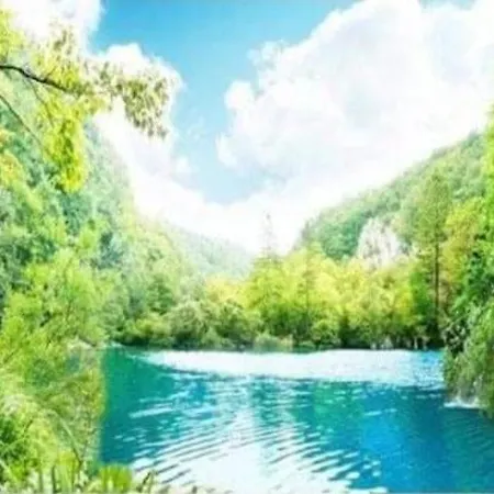 Apartamento Vlatka Split