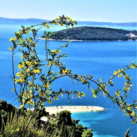 Vlatka Apartamento *