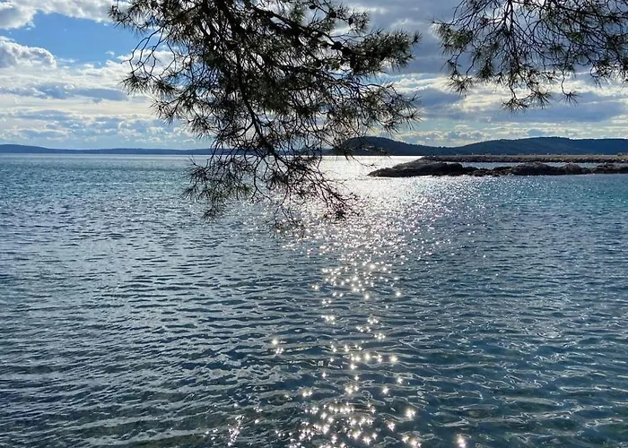 Vlatka Split